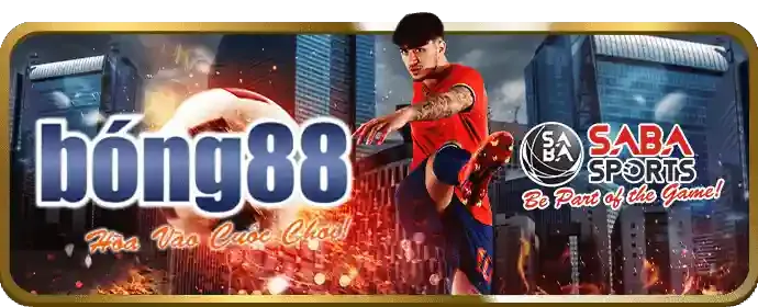 Mẹo cá cược độc quyền từ chuyên gia u888 comvip5